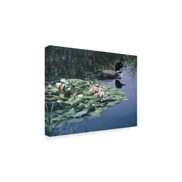 Ron Parker 'Loon And Lilies' Canvas Art,18x24